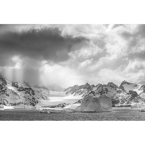 Antarctica-South Georgia Island Sunbeams light up icebergs and mountains  White Modern Wood Framed Art Print by Jaynes Gallery
