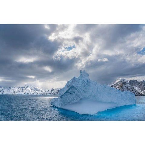 Antarctica-South Georgia Island Landscape with iceberg and mountains  Black Modern Wood Framed Art Print by Jaynes Gallery