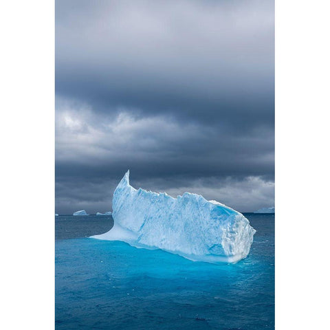 Antarctica-South Georgia Island Lone iceberg and stormy sunset  Black Modern Wood Framed Art Print by Jaynes Gallery