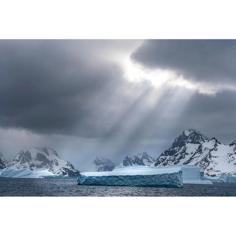 Antarctica-South Georgia Island Sunbeams light up icebergs  Black Modern Wood Framed Art Print with Double Matting by Jaynes Gallery