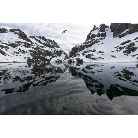 Southern Ocean-South Georgia-Larsen Harbor-Drygalski Fjord Black Modern Wood Framed Art Print by Goff, Ellen B.