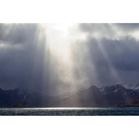 Southern Ocean-South Georgia-King Edward Cove-Grytviken Black Modern Wood Framed Art Print by Goff, Ellen B.