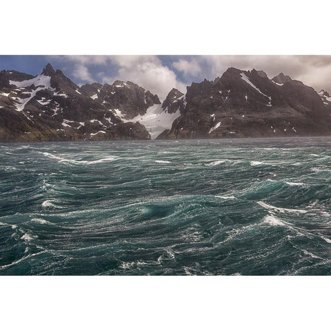 Southern Ocean-South Georgia-Drygalski Fjord White Modern Wood Framed Art Print by Goff, Ellen B.