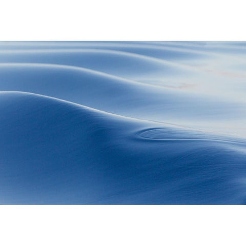 Southern Ocean-near South Georgia-Patterns created by the ship in the glassy water Black Modern Wood Framed Art Print by Goff, Ellen B.