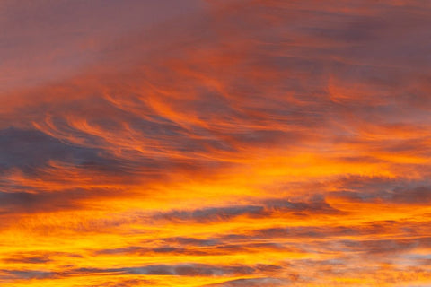 Southern Ocean-South Georgia-Sunset at South Georgia White Modern Wood Framed Art Print with Double Matting by Goff, Ellen B.