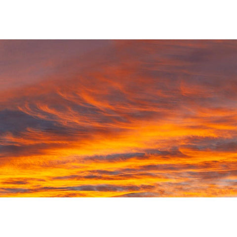 Southern Ocean-South Georgia-Sunset at South Georgia Black Modern Wood Framed Art Print by Goff, Ellen B.