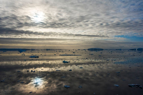 Floating ice on South Atlantic Ocean-Antarctica White Modern Wood Framed Art Print with Double Matting by Su, Keren