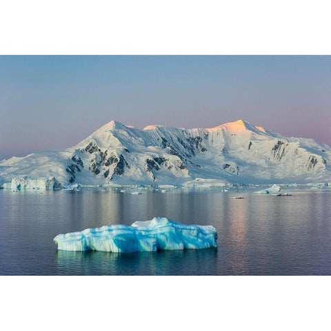 Snow covered island and floating ice in South Atlantic Ocean-Antarctica Black Modern Wood Framed Art Print by Su, Keren