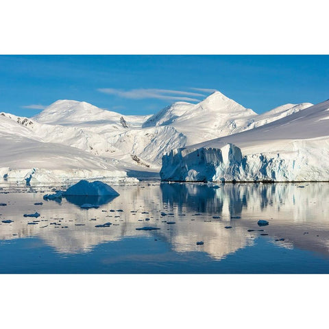 Snow covered island and iceberg with reflection in South Atlantic Ocean-Antarctica Black Modern Wood Framed Art Print by Su, Keren