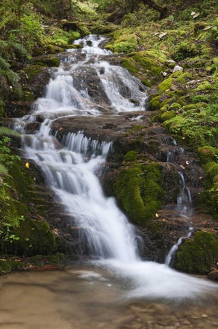 Asia, Bhutan Waterfall in central Bhutan White Modern Wood Framed Art Print with Double Matting by Kirkland, Dennis