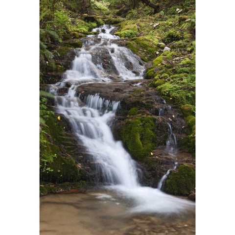 Asia, Bhutan Waterfall in central Bhutan Black Modern Wood Framed Art Print by Kirkland, Dennis
