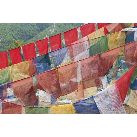 Asia, Bhutan, Thimphu Colorful prayer flags Gold Ornate Wood Framed Art Print with Double Matting by Kirkland, Dennis