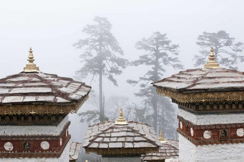 Bhutan, Dochu La Chortens and trees in fog Black Ornate Wood Framed Art Print with Double Matting by Kirkland, Dennis