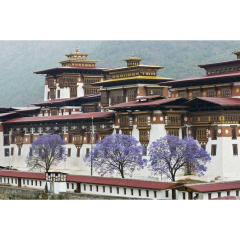 Bhutan Punakha Dzong palace with jacaranda Black Modern Wood Framed Art Print by Kirkland, Dennis