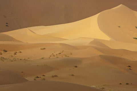 China, Badain Jaran Desert Contrasts in desert White Modern Wood Framed Art Print with Double Matting by Anon, Ellen