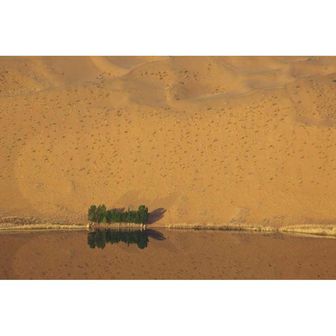 China, Badain Jaran Dune and trees by a lake White Modern Wood Framed Art Print by Anon, Ellen