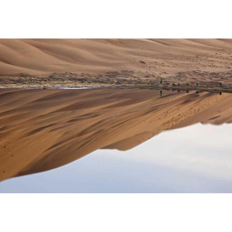 China, Badain Jaran Dune and trees by a lake White Modern Wood Framed Art Print by Anon, Ellen