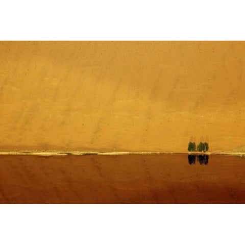 China, Badain Jaran Dune and trees by a lake Gold Ornate Wood Framed Art Print with Double Matting by Anon, Ellen