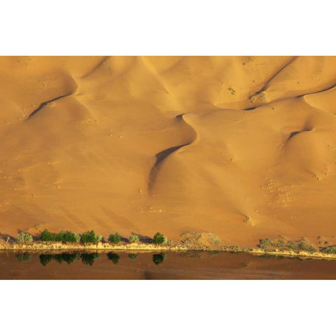 China, Badain Jaran Dune and trees by a lake Gold Ornate Wood Framed Art Print with Double Matting by Anon, Ellen