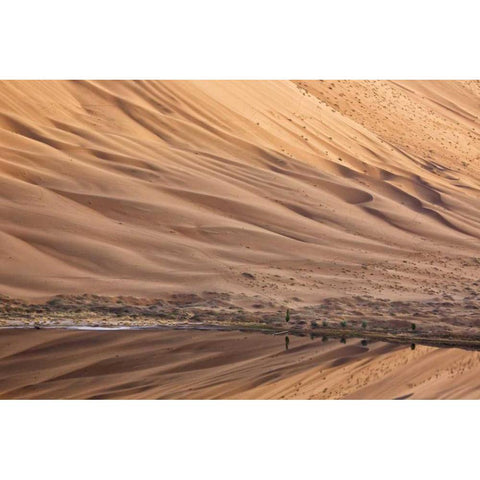 China, Badain Jaran Dune and trees by a lake Black Modern Wood Framed Art Print with Double Matting by Anon, Ellen