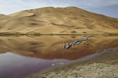 China, Badain Jaran Desert Dune reflects in lake Black Ornate Wood Framed Art Print with Double Matting by Anon, Ellen