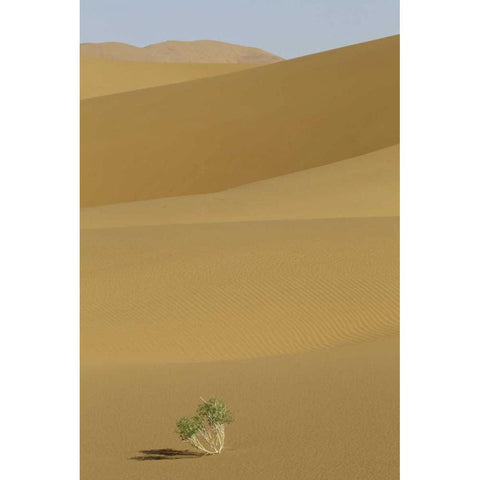 China, Gansu Province Badain Jaran Desert White Modern Wood Framed Art Print by Anon, Josh