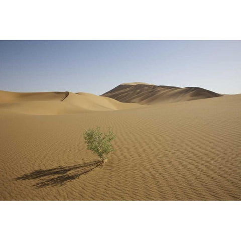 China, Gansu Province Badain Jaran Desert Gold Ornate Wood Framed Art Print with Double Matting by Anon, Josh