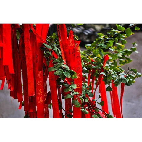 Asia-China-Zhujiajiao (Venice of the East)-Red Ribbons of Wish to a Higher Power Black Modern Wood Framed Art Print with Double Matting by Looney, Hollice