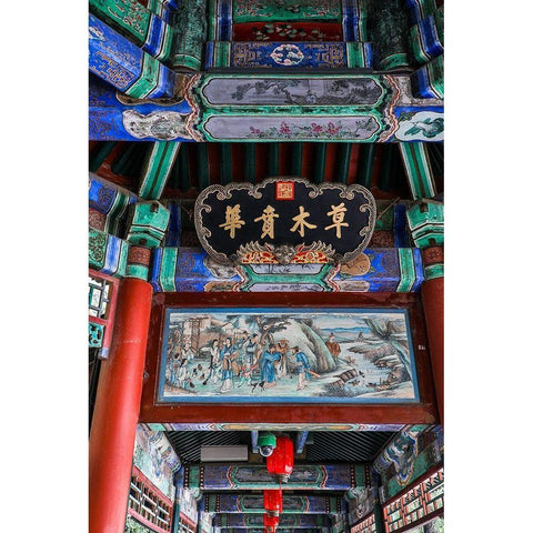 Asia-China-Beijing-Ceiling Detail at the Summer Palace of Empress Cixi Black Modern Wood Framed Art Print by Looney, Hollice