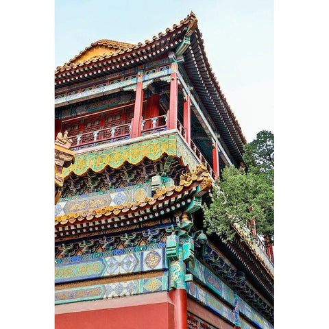 Asia-China-Beijing-The Forbidden City Black Modern Wood Framed Art Print with Double Matting by Looney, Hollice