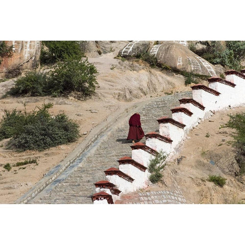 Monk walking the stairs in Drepung Monastery-Gelug university monasteries of Tibet-Lhasa-Tibet-China White Modern Wood Framed Art Print by Su, Keren