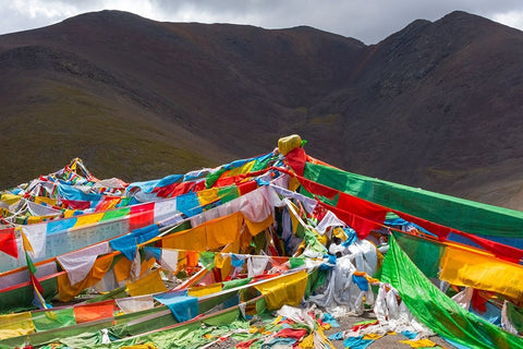 Prayer flags on Tibetan Plateau with Tanggula Mountain-Namtso-Lake Nam-Tibet-China Black Ornate Wood Framed Art Print with Double Matting by Su, Keren