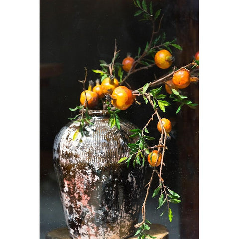 Pomegranate grown from a wine jar-Tangqi Ancient Town-Hangzhou-Zhejiang Province-China Gold Ornate Wood Framed Art Print with Double Matting by Su, Keren