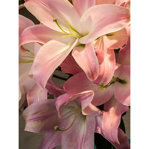 China-Hong Kong Lilies on display at a shop near the flower market Black Modern Wood Framed Art Print by Eggers, Julie