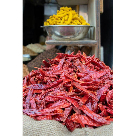 India-Delhi-Old Delhi Old Delhi street market White Modern Wood Framed Art Print by Hopkins, Cindy Miller