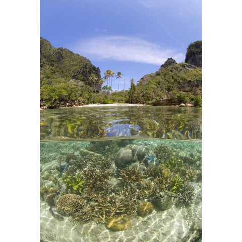 Indonesia, Misool Island Split view of an island Black Modern Wood Framed Art Print with Double Matting by Shimlock, Jones