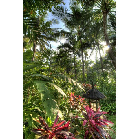 Indonesia, Bali View of vegetation in a Garden Gold Ornate Wood Framed Art Print with Double Matting by Shimlock, Jones