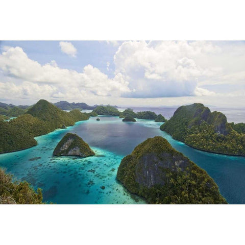 Island vegetation, New Guinea Island, Indonesia White Modern Wood Framed Art Print by Shimlock, Jones