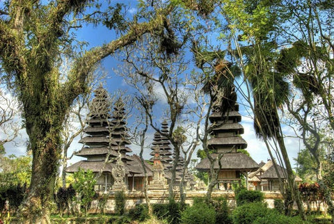 Indonesia, Bali, Mengwi Pura Taman Ayun temple Black Ornate Wood Framed Art Print with Double Matting by Shimlock, Jones