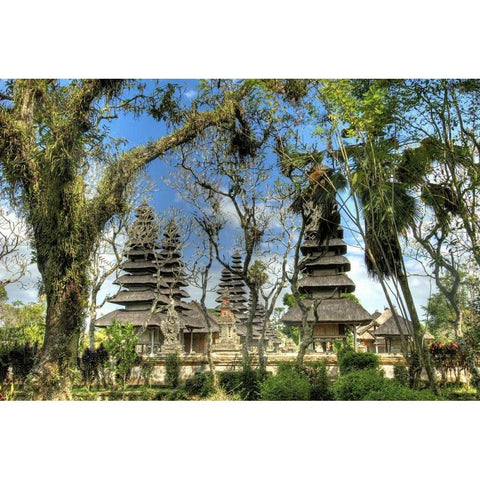 Indonesia, Bali, Mengwi Pura Taman Ayun temple Black Modern Wood Framed Art Print with Double Matting by Shimlock, Jones