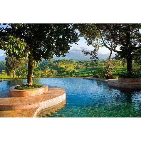 Indonesia-Java Landscape with pool and rice terraces at resort Black Modern Wood Framed Art Print by Jaynes Gallery