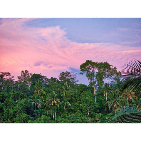 Indonesia-Bali-Ubud-Sunrise in the rainforest White Modern Wood Framed Art Print by Eggers, Terry