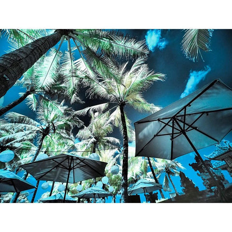 Bali-Ubud-Umbrellas-Ponds and pools at hotel in Ubud Black Modern Wood Framed Art Print with Double Matting by Eggers, Terry