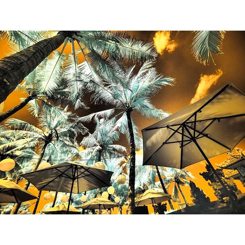 Bali-Ubud-Umbrellas-Ponds and pools at hotel in Ubud Black Modern Wood Framed Art Print by Eggers, Terry