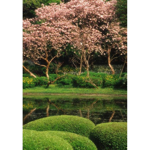 Japan, Tokyo Imperial Palace East Gardens Black Modern Wood Framed Art Print by Ross, Nancy ,  Steve