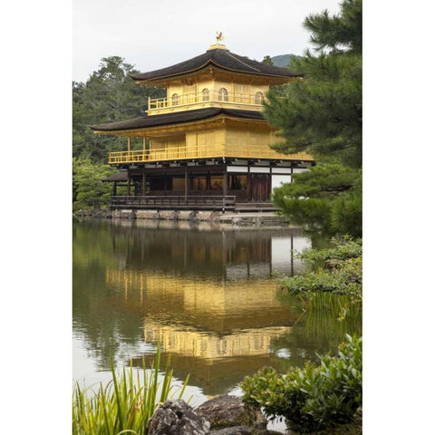 Japan, Kyoto Temple of the Golden Pavilion Gold Ornate Wood Framed Art Print with Double Matting by Flaherty, Dennis