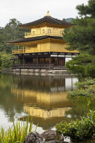 Japan, Kyoto Temple of the Golden Pavilion White Modern Wood Framed Art Print with Double Matting by Flaherty, Dennis