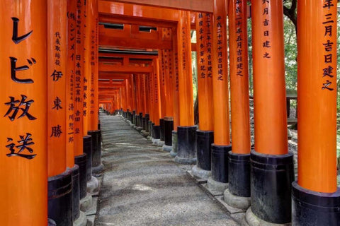 Japan, Kyoto, Fushimi-Inari-Taisha Torii Gates Black Ornate Wood Framed Art Print with Double Matting by Flaherty, Dennis