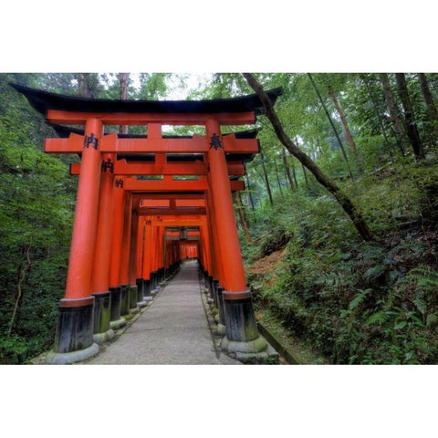 Japan, Kyoto, Fushimi-Inari-Taisha Torii Gates Gold Ornate Wood Framed Art Print with Double Matting by Flaherty, Dennis