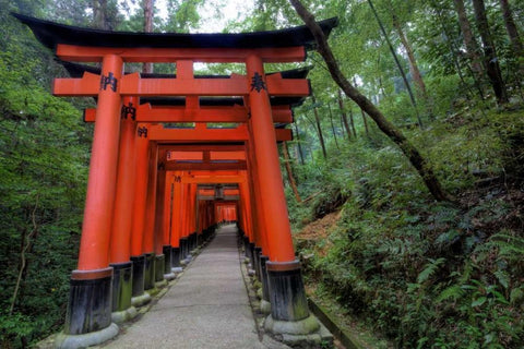 Japan, Kyoto, Fushimi-Inari-Taisha Torii Gates Black Ornate Wood Framed Art Print with Double Matting by Flaherty, Dennis